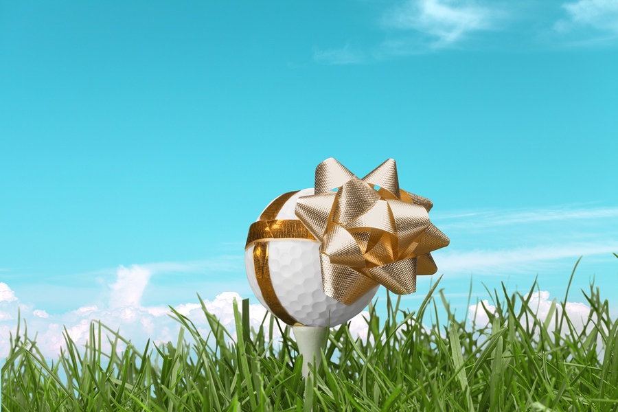 golf enthusiasts gifts