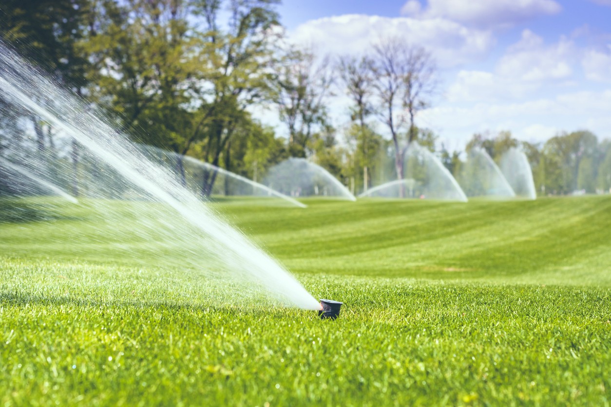 Water sprinklers spraying water on a green golf course. 