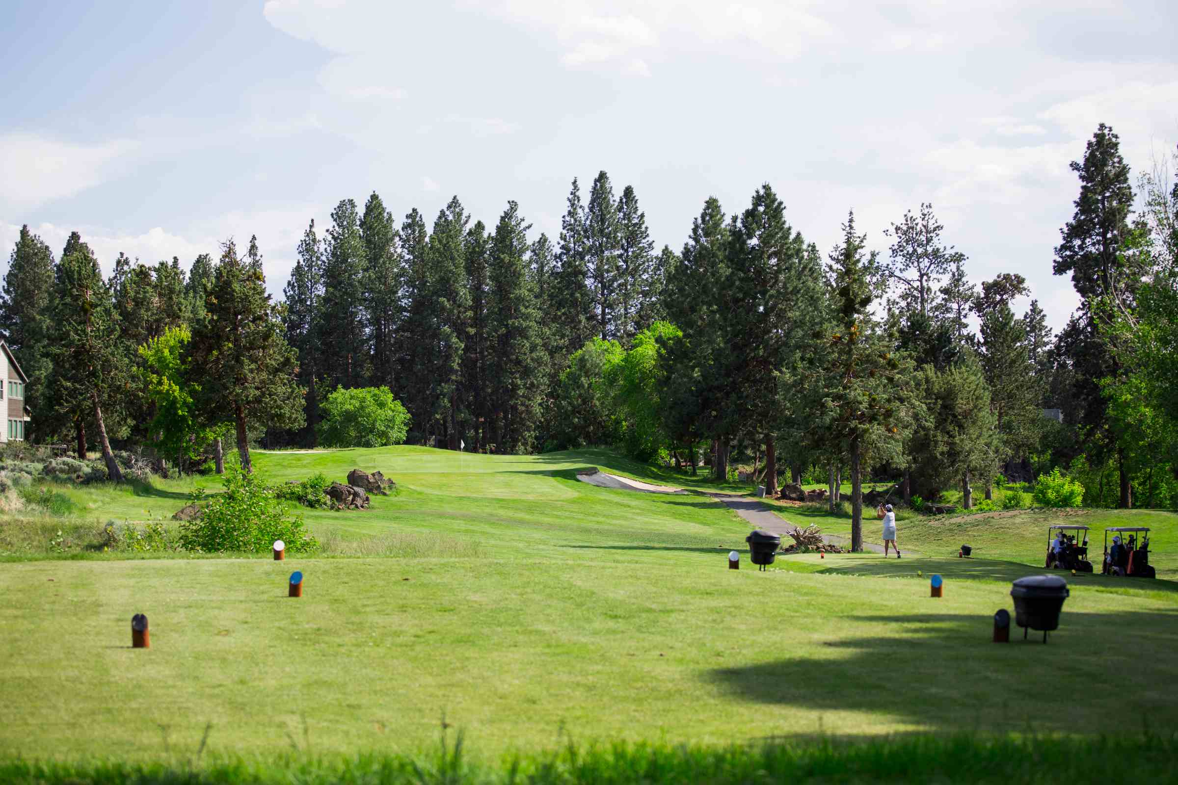 River's edge golf course open field with bright green colors and treeline in the background