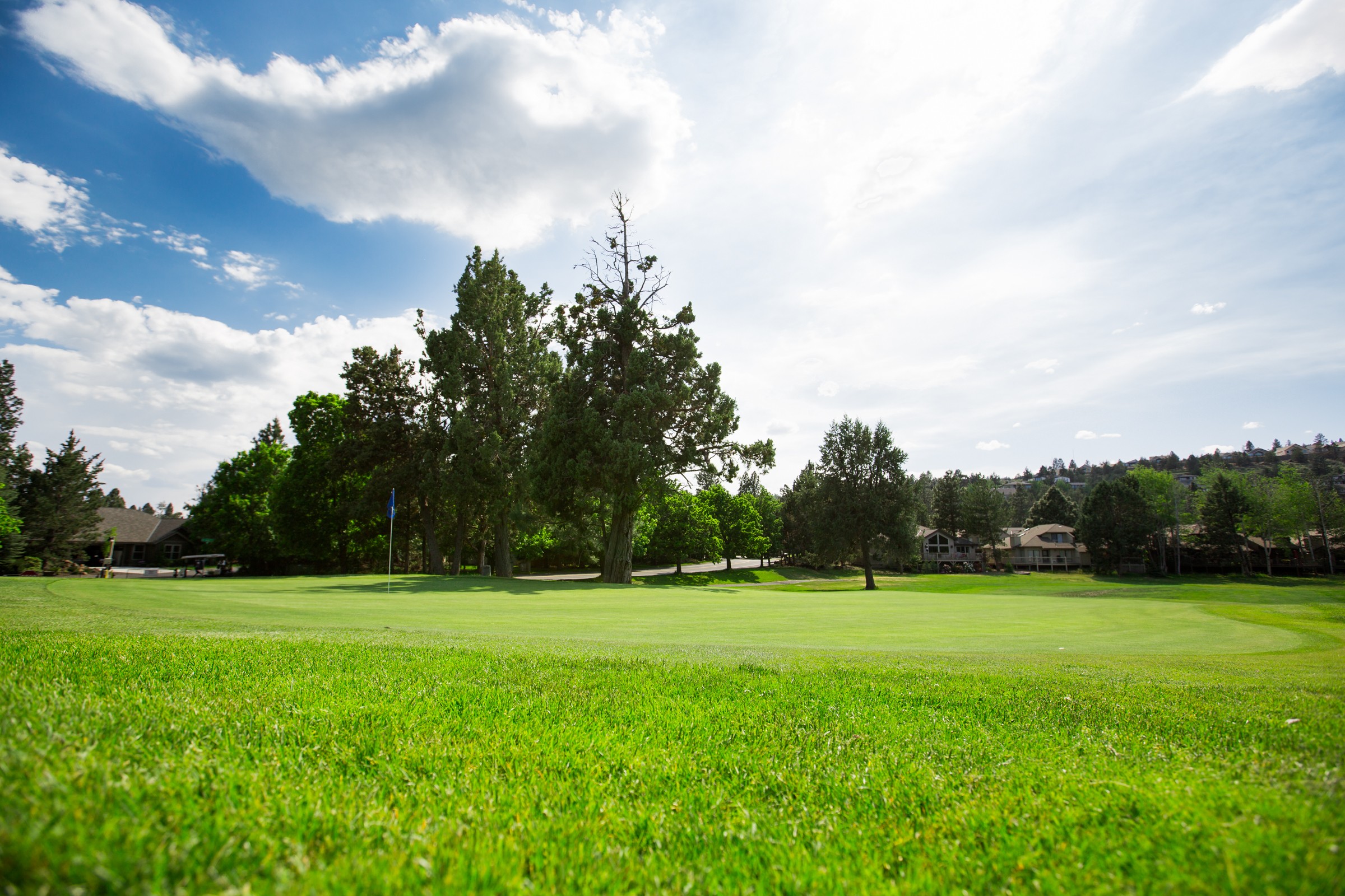 Open area for River's Edge golf course.