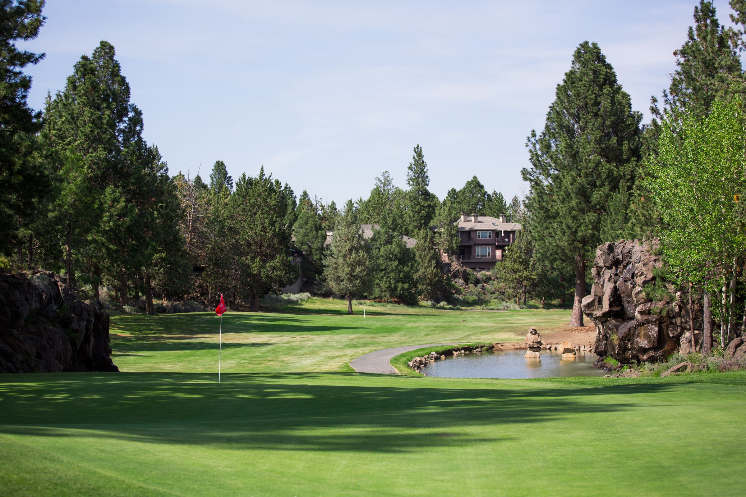 Greenway at river's edge golf course with pine tees on either side and a water feature. 