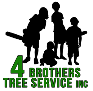 4 Brothers Tree Service
